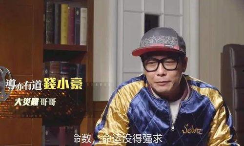 钱小豪爆料天涯视频合集,天涯视频合集背后的精彩故事